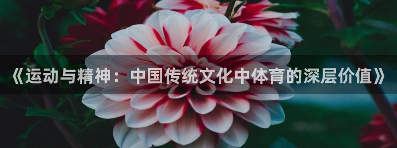 米兰体育官网下载招商电话号码查询是多少:《运动与精神:中国传