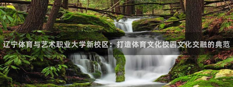 海南米兰体育官网下载发展怎么样:辽宁体育与艺术职业大学新校区